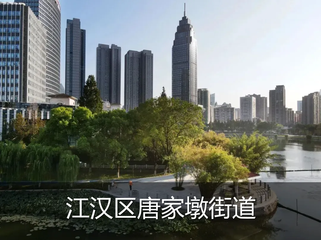 江汉区唐家墩街道